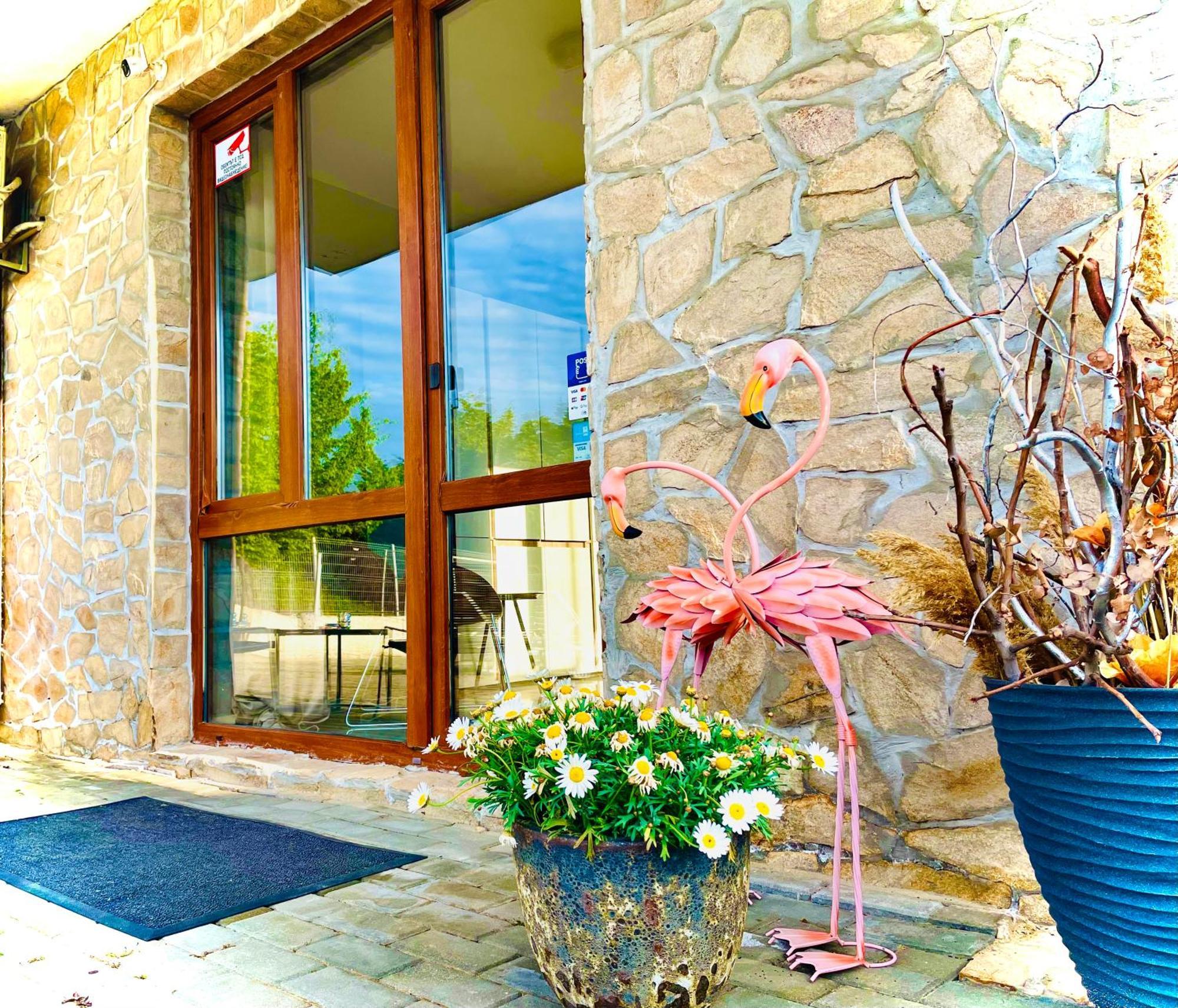 Stefaniya Apartments Sozopol Ngoại thất bức ảnh